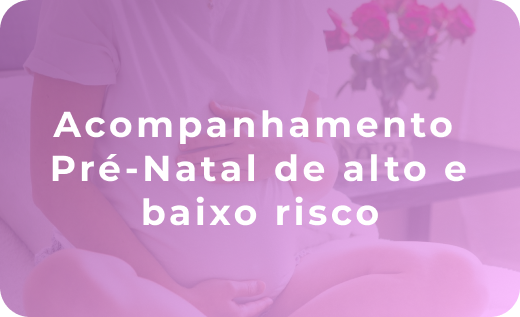 Box indicando o serviço de Acompanhamento Pré-Natal de alto e baixo risco.
